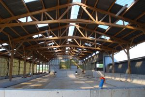 BERTHELOT CHARPENTES STABULATION