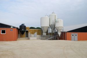 jonction entre_maternité-gestante