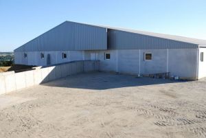 BERTHELOT CHARPENTES PORCHERIE GESTANTE