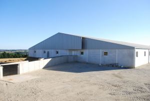 BERTHELOT CHARPENTES PORCHERIE GESTANTE 