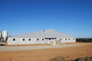 BERTHELOT CHARPENTES PORCHERIE GESTANTE