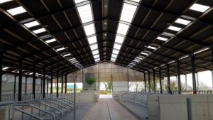 BERTHELOT CHARPENTES METALLIQUE_4